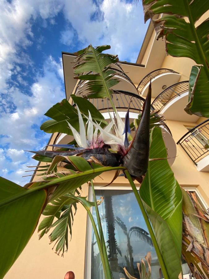 Hotel Lion's 3*