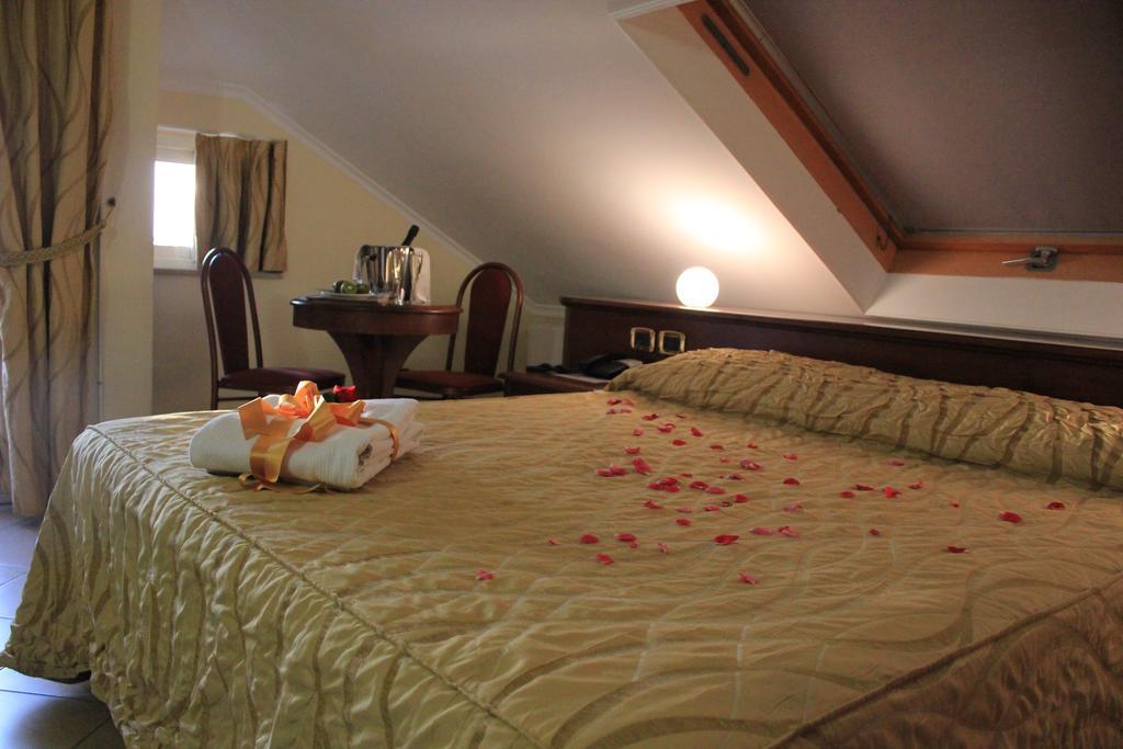 Lion's Hotel