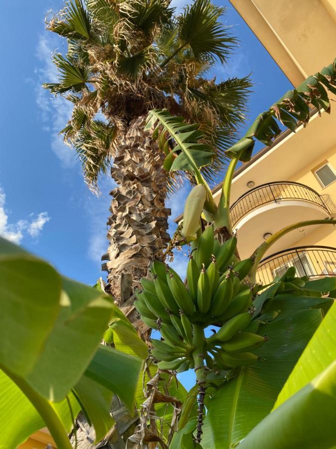 Lion's Hotel 3*